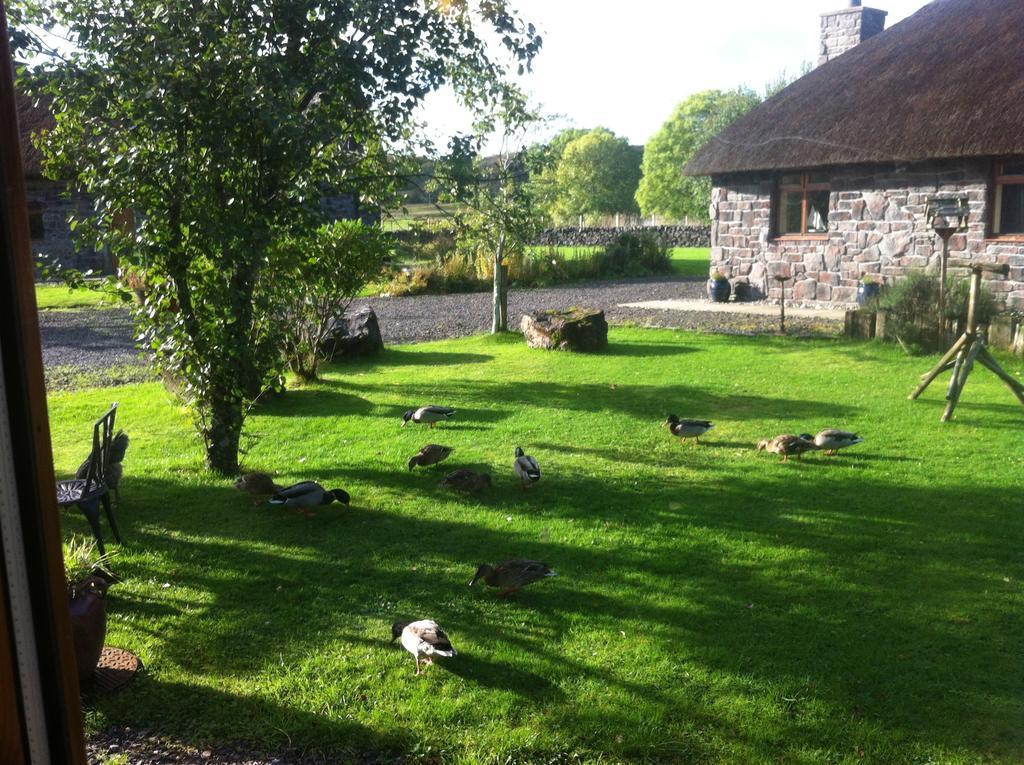 Clan Cottages أوبان الغرفة الصورة