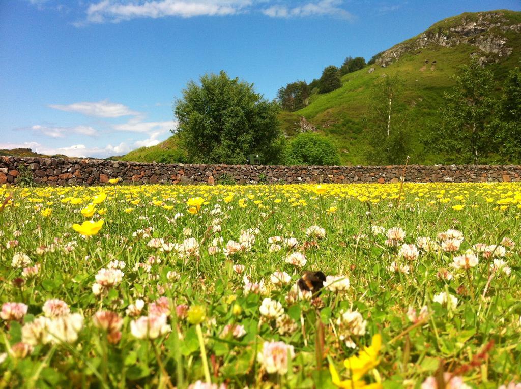 Clan Cottages أوبان الغرفة الصورة